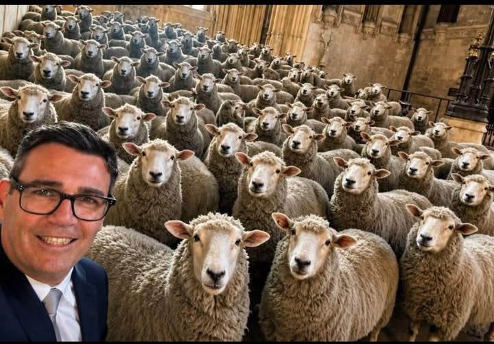 LaneyGH's tweet photo. @Bill_Esterson The messiah with his back stabbing disloyal followers https://t.co/O0TvNNDQaB