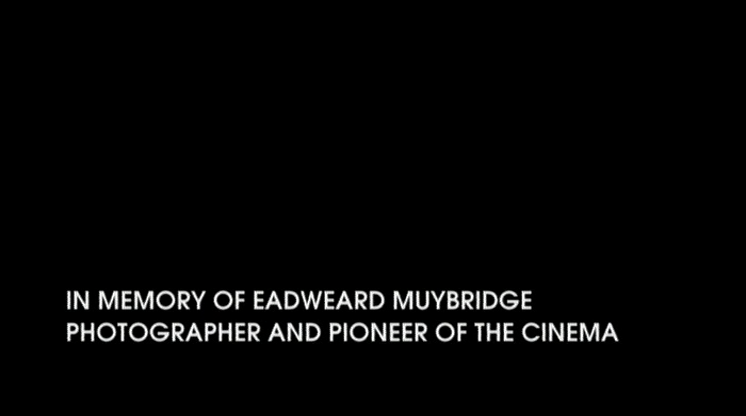rarefilmsguy's tweet photo. ZOOPRAXISCOPE (Hieronim Neumann, 2005) https://t.co/tu5Db4Doi2