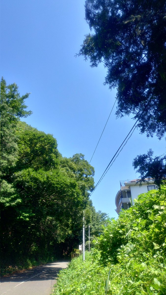 ef8crx4ever's tweet photo. 今日の茅ヶ崎の空は夏だった
＃茅ヶ崎
＃行谷
＃囲碁将棋 https://t.co/hchLAAcUcB