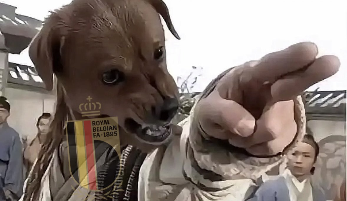 Kefoot_be's tweet photo. 🚨𝗖𝗛𝗘𝗥𝗦 𝗗𝗘𝗧𝗥𝗔𝗖𝗧𝗘𝗨𝗥𝗦, 𝗩𝗢𝗨𝗦 𝗗𝗜𝗦𝗜𝗘𝗭 :📝

« La Belgique🇧🇪 ne passera pas les poules❌ » : ON EST PASSÉ ✅

« La Belgique🇧🇪 ne gagne pas contre le Sénégal🇸🇳❌ » : ON EST PASSÉ ✅

« La Belgique🇧🇪 perd contre les Etats-Unis🇺🇸❌ » : ON EST PASSÉ ✅

🇪🇸⏳… https://t.co/4L7LZeyhRo