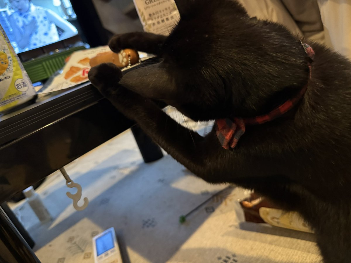 futurepromot's tweet photo. これを、もうちょっとこうして、、、

#黒猫同盟 https://t.co/FeomGW3S5k