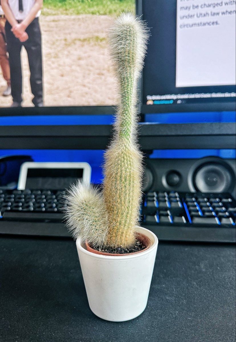 fxckingham's tweet photo. I’ve been waiting for mine to do this exact same thing, what the hell is going on in the middle 😭 it’s so thin https://t.co/ysXkpvQhzm