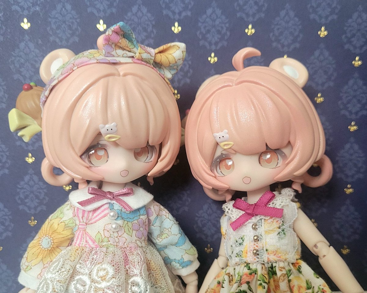 sazyouno's tweet photo. 後から来たコメちゃん(→)のほうが髪色が濃いみたいです☺️

コメちゃんが2人、つまりこれで1人は家で着飾らせつつ、もう1人は気軽にお出掛けにも連れ出せるってわけよ…！ https://t.co/YHxh2FFVAI