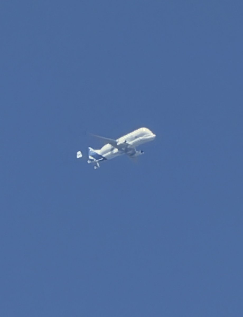 SharynM22's tweet photo. There’s a whale in the sky 🐳 🤩

@flightradar24 @Airbus #BelugaXL https://t.co/5IiD17Fqnm