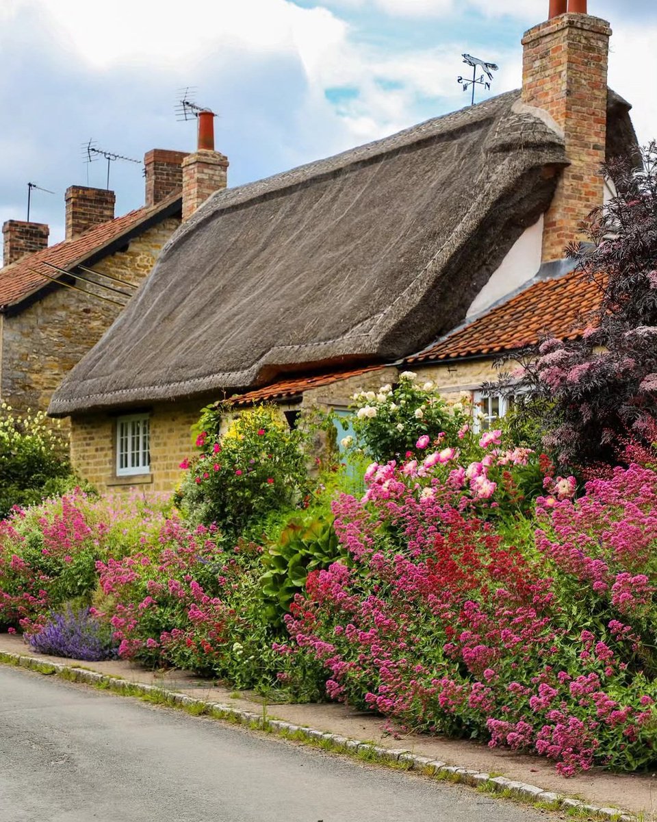 englandcottages's tweet photo. A Cottage that looks like summer 🏡 https://t.co/ohXh9eLjJ5