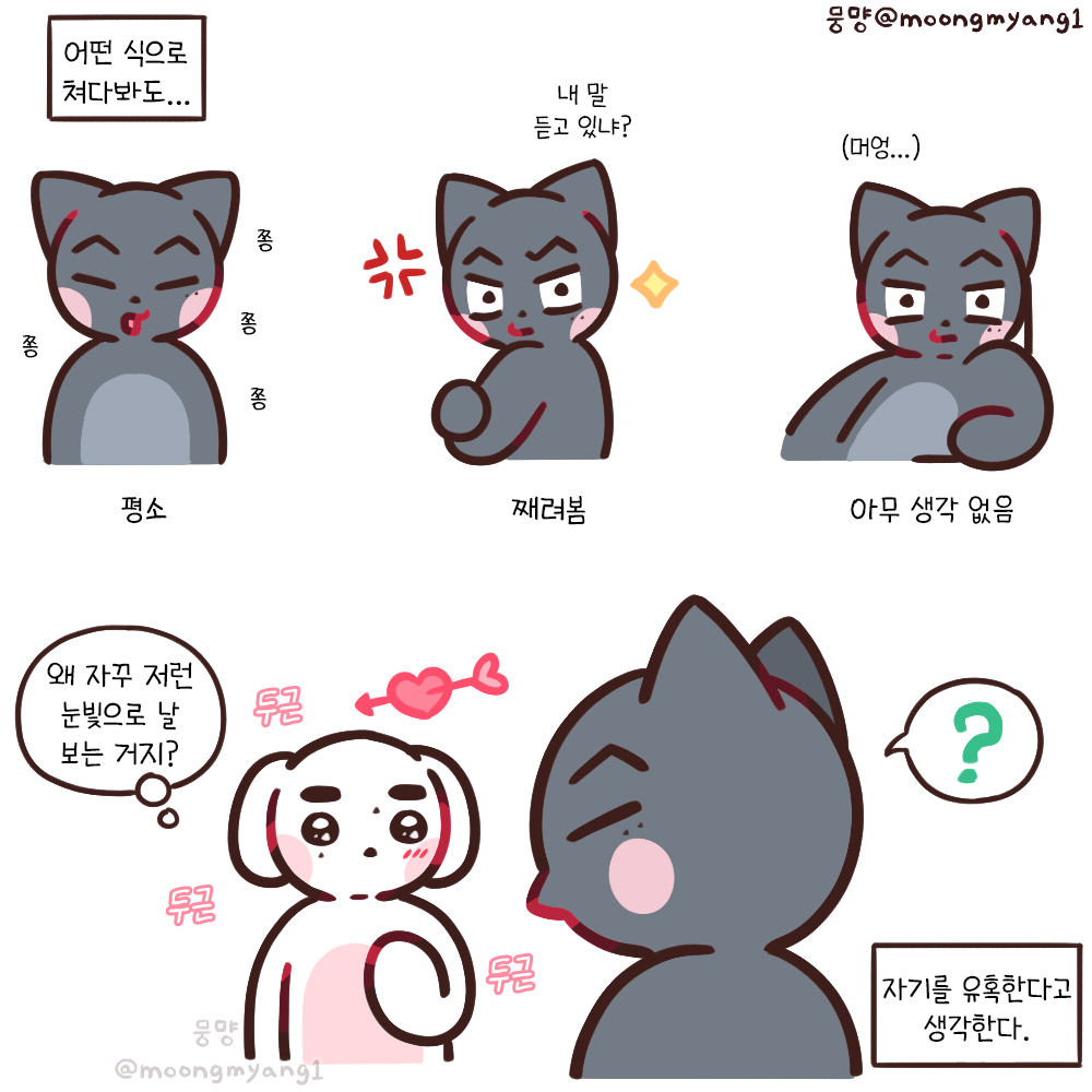 moongmyang1's tweet photo. 성젱
어떤 식으로 쳐다봐도 https://t.co/uFlpkKVBcY