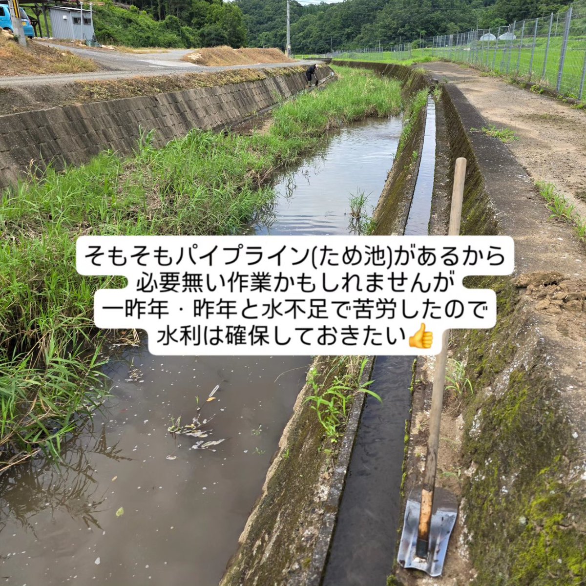 ichiekiin's tweet photo. 【米栽培7/9②】

キツい作業
溝あげ＞その他の作業
(でも｢ヒエ取り｣が一番嫌かな😅)

○極早生栽培 100a (再生二期作)
乾田直播・3/21播種
移植　　・4/2播種、ハウス育苗、4/21田植え
○早生栽培 250a
乾田直播・4/9播種
移植　　・4/24播種、
　ハウス育苗、5/13田植え、
　地獄積み&露地プール育苗、5/22田植え
○慣行栽培 650a
乾田直播・5/12播種
移植　　・5/21播種、露地プール育苗、
　6/11①6/14②6/15③6/21④6/22⑤田植え

#米栽培 #作型検討中
#農事組合法人グリーン法人中野
#大分県豊後大野市清川町