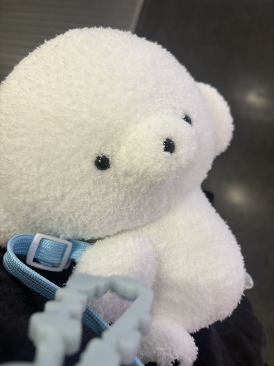 _ilx_xli's tweet photo. みてーーじょせまるのポーチ？かばん！ https://t.co/dwH2o5SqcX