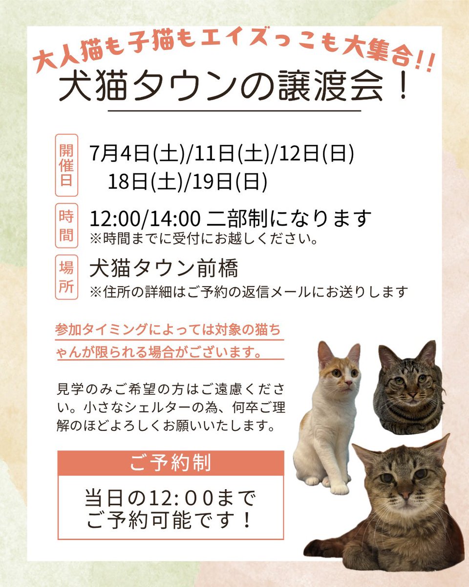 犬猫生活 | 殺処分ゼロを目指す会社 (@inunekoseikatsu) / Posts / X