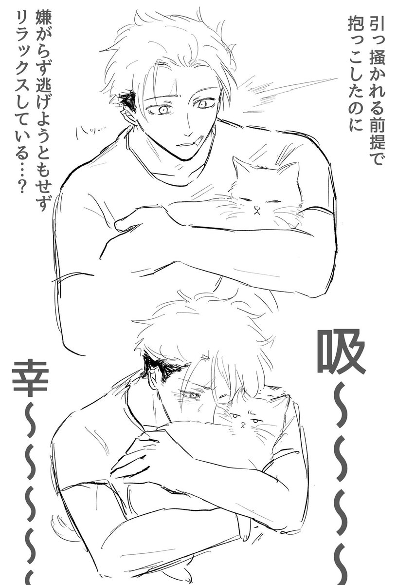 za_rigani014's tweet photo. 猫にメロメロなモゆじ https://t.co/NSagMl8gcY