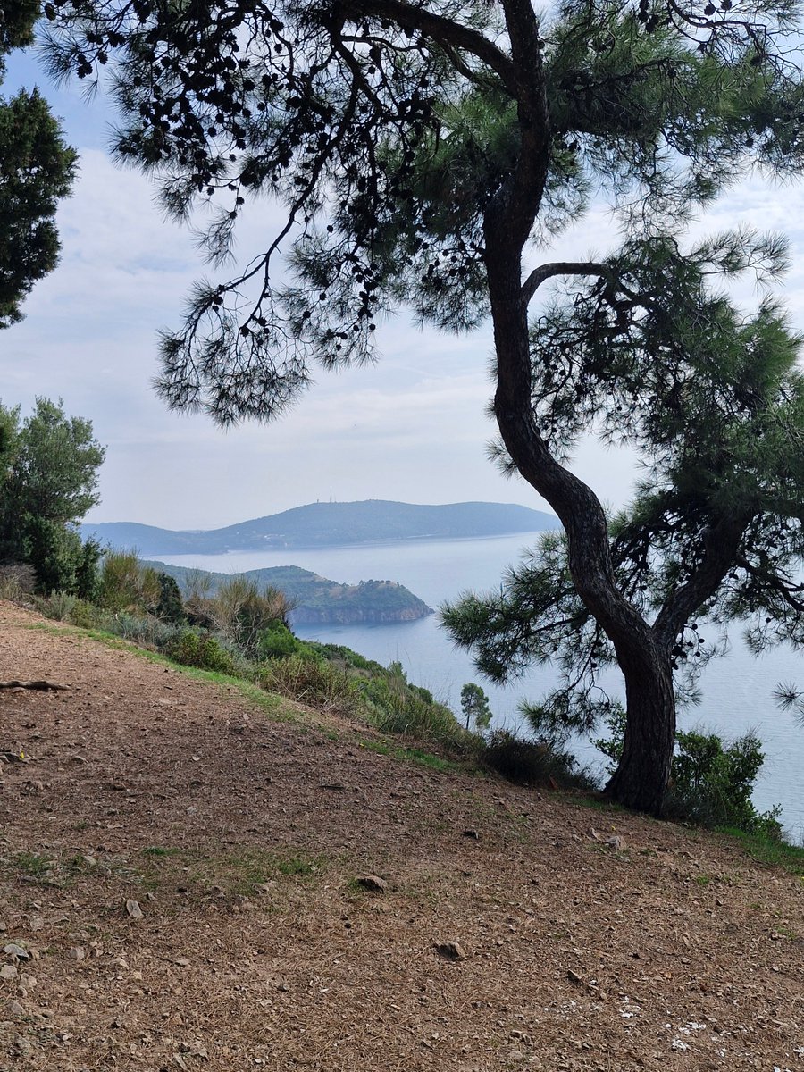 IOIILisaMorrow's tweet photo. #burgazada is one of smaller inhabited #princesislands in Sea of Marmara off #Istanbul &amp; that’s what makes it so special. Island is less crowded than others, has fascinating history, green forests &amp; lush views. Here’s what to see &amp; do when you go.
https://t.co/SR9waqoBCW https://t.co/kH0Q8H1JGC