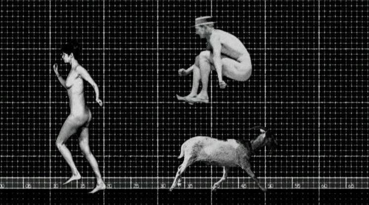 rarefilmsguy's tweet photo. ZOOPRAXISCOPE (Hieronim Neumann, 2005) https://t.co/tu5Db4Doi2