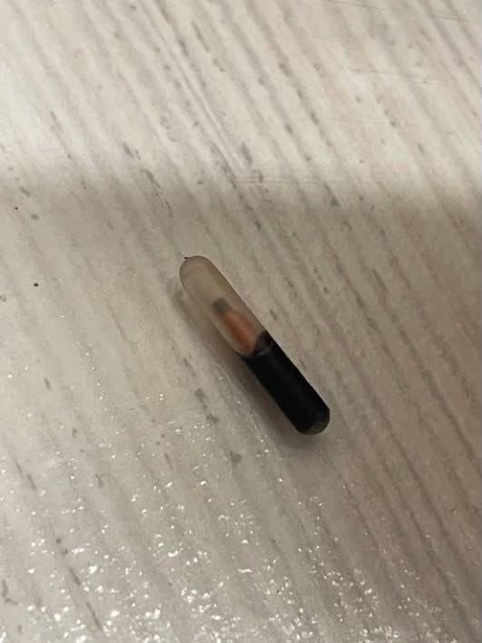 M88Q_'s tweet photo. فوبيا 
احد يفهمني اش هذا ؟؟؟😰 https://t.co/DKTI0Z5qhI