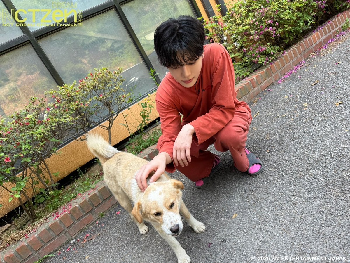 813UPDATES's tweet photo. drop the tags for jaemin 🩷

ON AIR WITH DJ JAEMIN
#うさねこ897
#ジェミンのうさぎちゃんねこちゃんラジオ https://t.co/mYXKaaKImI