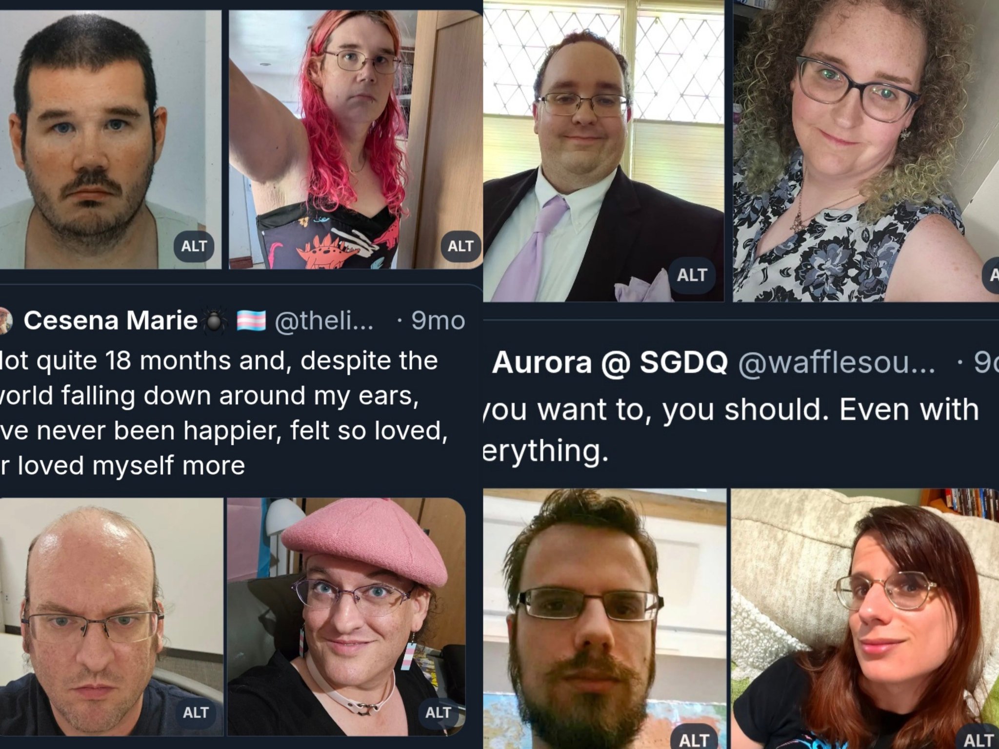 Retard Finder on X: "Since all the people who left X for Bluesky are ...