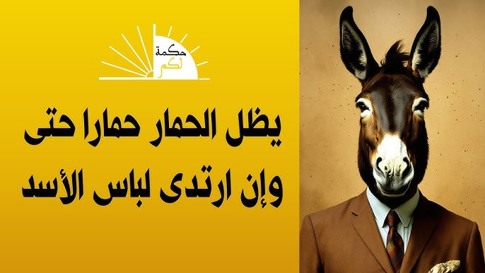 Ahmed Salih tweet media