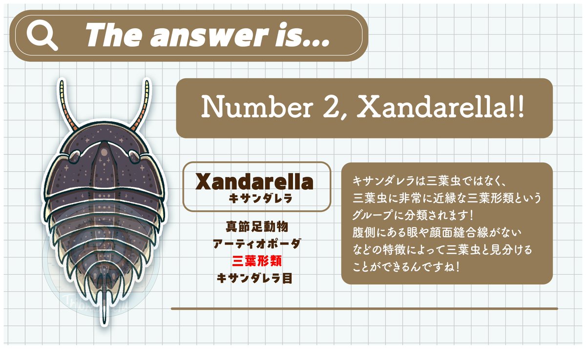 mirokunn2224's tweet photo. #Cambrian #illustration #paleoart #イラスト
たくさんの参加ありがとう!🎉
いよいよ正解の発表だ! 正解は〜....
I've posted the English explanation in the replies! 👇 https://t.co/M1DBGpnNO4