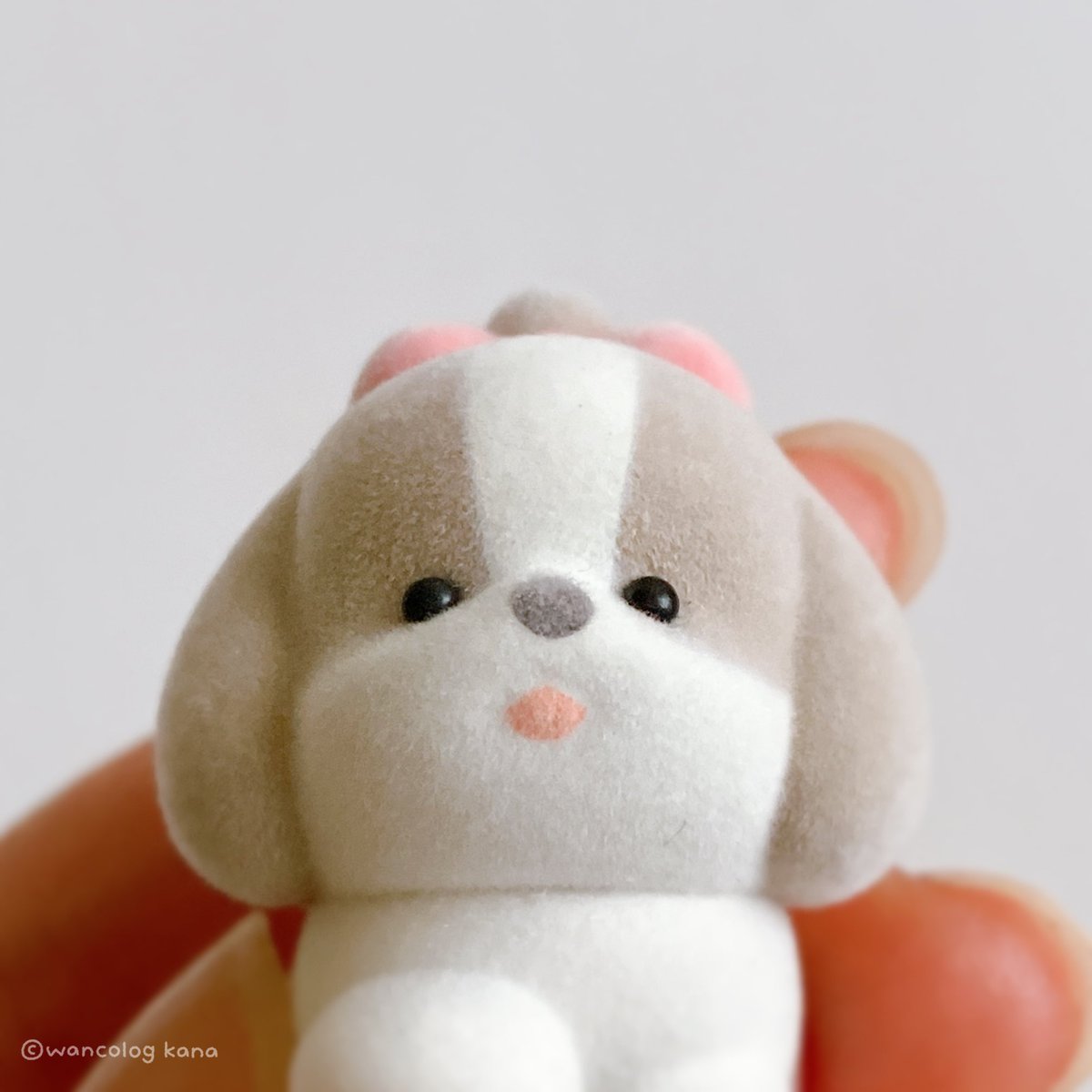 wancolog's tweet photo. おぱんつシーズーちゃんず、
360°どこから見ても可愛い仕上がりになるような立体表現を心がけました🐶

お顔に関しては、角度や写真の撮り方によってふしぎと表情が違って見えるので、
いろんな角度から見て愛でてあげてください☺️ https://t.co/4cF2Zf1Lzh