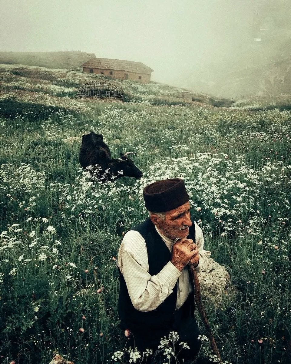 eyeonaxis's tweet photo. Iran, 2022, by Hojjat Hamidi https://t.co/jo84Mo3rmN