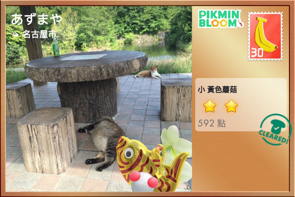 ccyh16_'s tweet photo. 需要更多的貓咪🐈 https://t.co/H8blW45tcF