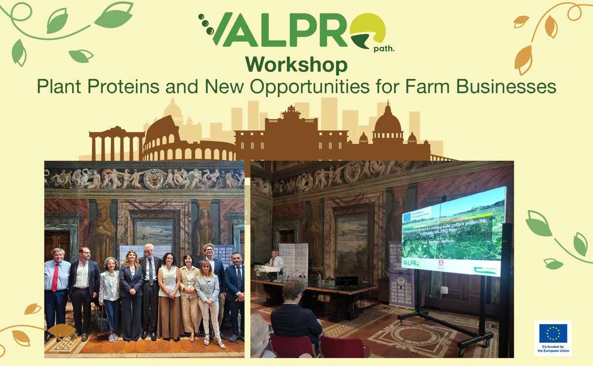 VALPRO_Path's tweet photo. 🌱Successful #VALPROPath workshop “Plant Proteins and New Opportunities for Farm Businesses” held at Confagricoltura in Rome. 

Around 60 stakeholders discussed plant proteins, sustainability and innovation, supporting the transition towards more resilient food systems.👏 https://t.co/zNsOoLDr5R