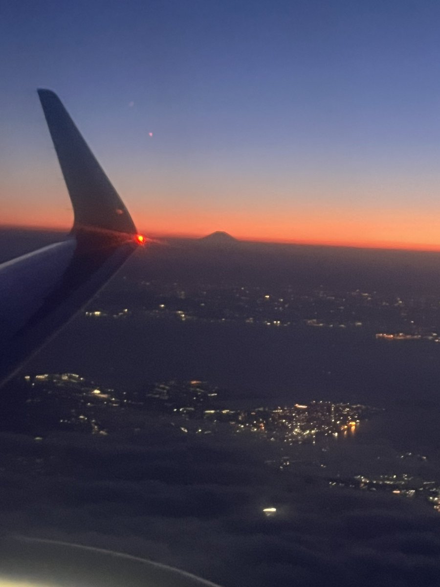 ZfaChm5kY817722's tweet photo. 羽田空港に帰って来た〜
到着ロビー出て銀座ライオンに駆け込み🍺
#羽田空港
#銀座ライオン
#サッポロビール https://t.co/qvsLDw7E38