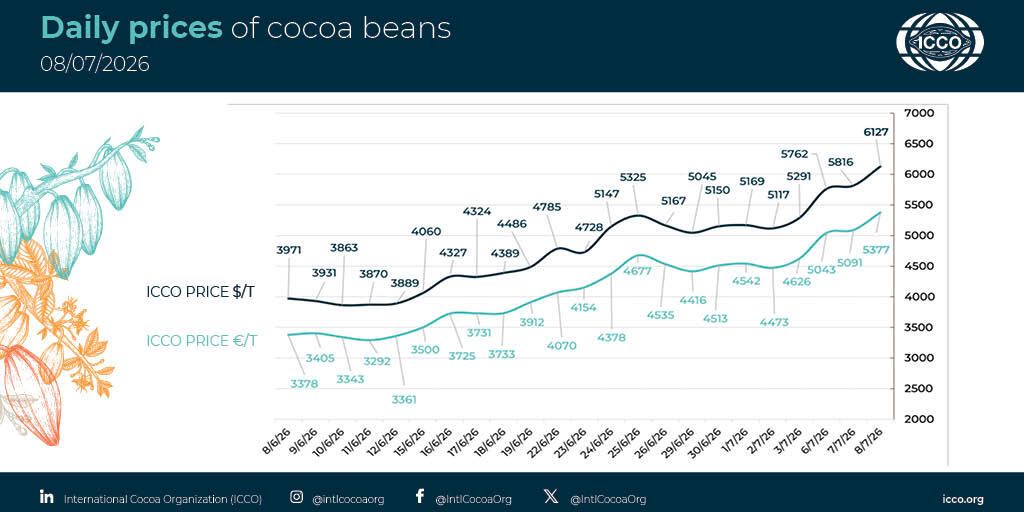 IntlCocoaOrg's tweet photo. 🔴 08/07/2026 #Cocoa Daily Prices - Prix du jour - Precios diarios - Ежедневные цены

💵 ICCO daily price - 6127.13 $/T
💶 ICCO daily price - 5376.55 €/T

More #cocoa statistical info in our webpage 🔗 https://t.co/0t3CE7hXP4

#ICCOCocoaHub #ICCOCocoaData #ICCOCocoaKnowledge https://t.co/dDTKFybGBh