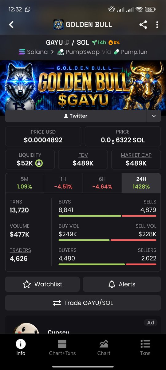 Akhiy_S's tweet photo. POV: You found $GAYU before the bull run cinematic poster. https://t.co/zh6mhDMzET