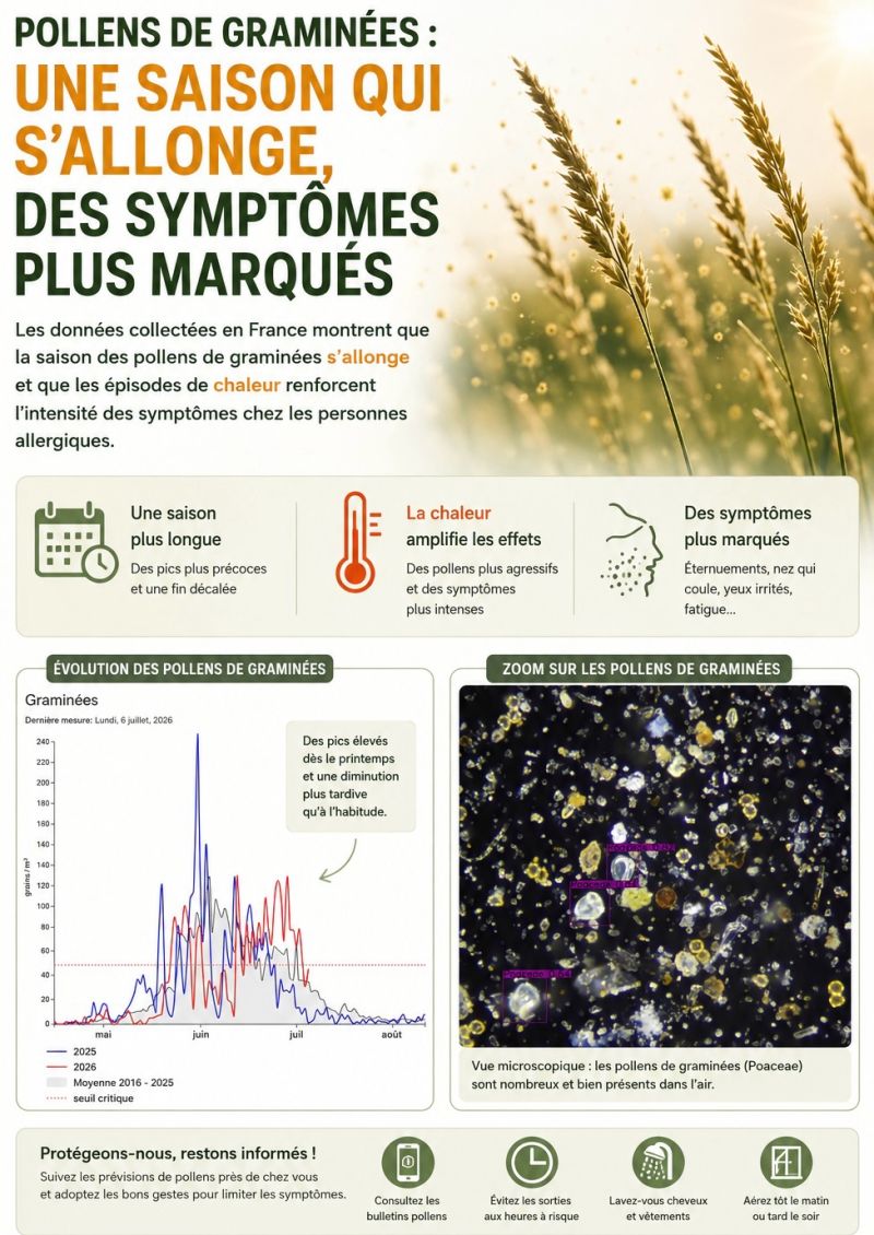 FrancePollens's tweet photo. 🌾 Les allergies aux graminées ne disparaissent pas avec l’arrivée de l’été… et nos voisins belges le confirment.

Ils dressent un constat très clair : la saison des pollens de graminées s’allonge et les épisodes de chaleur renforcent l’intensité des symptômes chez les personnes allergiques.

Un phénomène que nous observons également en France grâce aux données collectées par les capteurs d’ŌBERON SCIENCES et relayé via le site web et l’application France Pollens

👉 Cette année, les mois de mai et de juin ont été marqués par des pics particulièrement élevés de pollens de graminées. Si les concentrations diminuent progressivement en juillet, cela ne signifie pas pour autant la fin des gênes allergiques.

Les graminées restent bien présentes, notamment à proximité des prairies encore en fleurs ou des zones de fauche, où les concentrations peuvent rester suffisantes pour déclencher des symptômes chez les personnes les plus sensibles.

🌿 L’armoise commence actuellement sa floraison, tandis que l’ambroisie prépare son arrivée dans les prochains jours, une espèce particulièrement surveillée en raison de son fort pouvoir allergisant. Les pollens de plantain, d’ortie et de châtaignier complètent également le paysage estival, avec un impact allergique et des risques plus faibles!

👉 Article de nos amis Belges : https://t.co/xZJjGYlJV1

Chez ŌBERON SCIENCES / France Pollens , ces observations confirment une réalité de terrain : les saisons polliniques évoluent. Les suivre avec des données locales et en temps réel devient indispensable pour mieux informer, anticiper les risques et protéger les personnes allergiques.

#Pollens #Allergies #QualitéAir #SantéEnvironnementale #FrancePollens