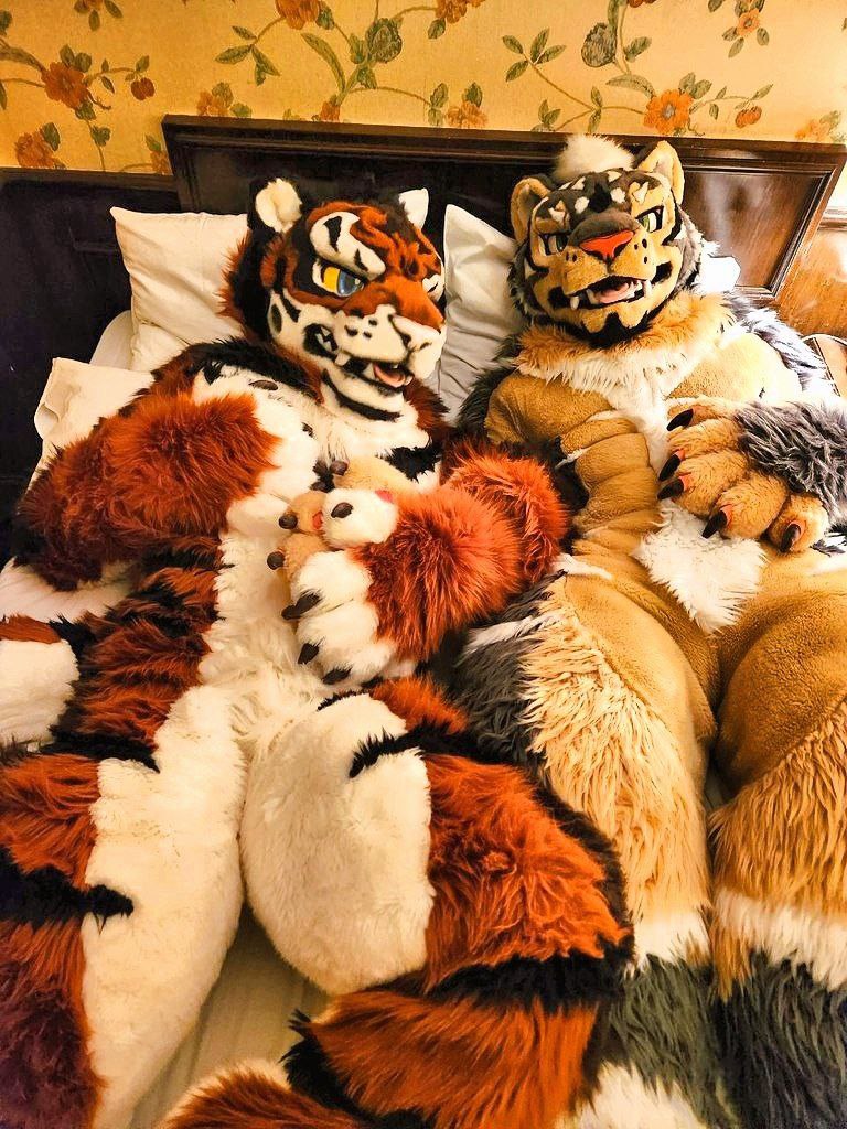 Alextiger2020 tweet picture