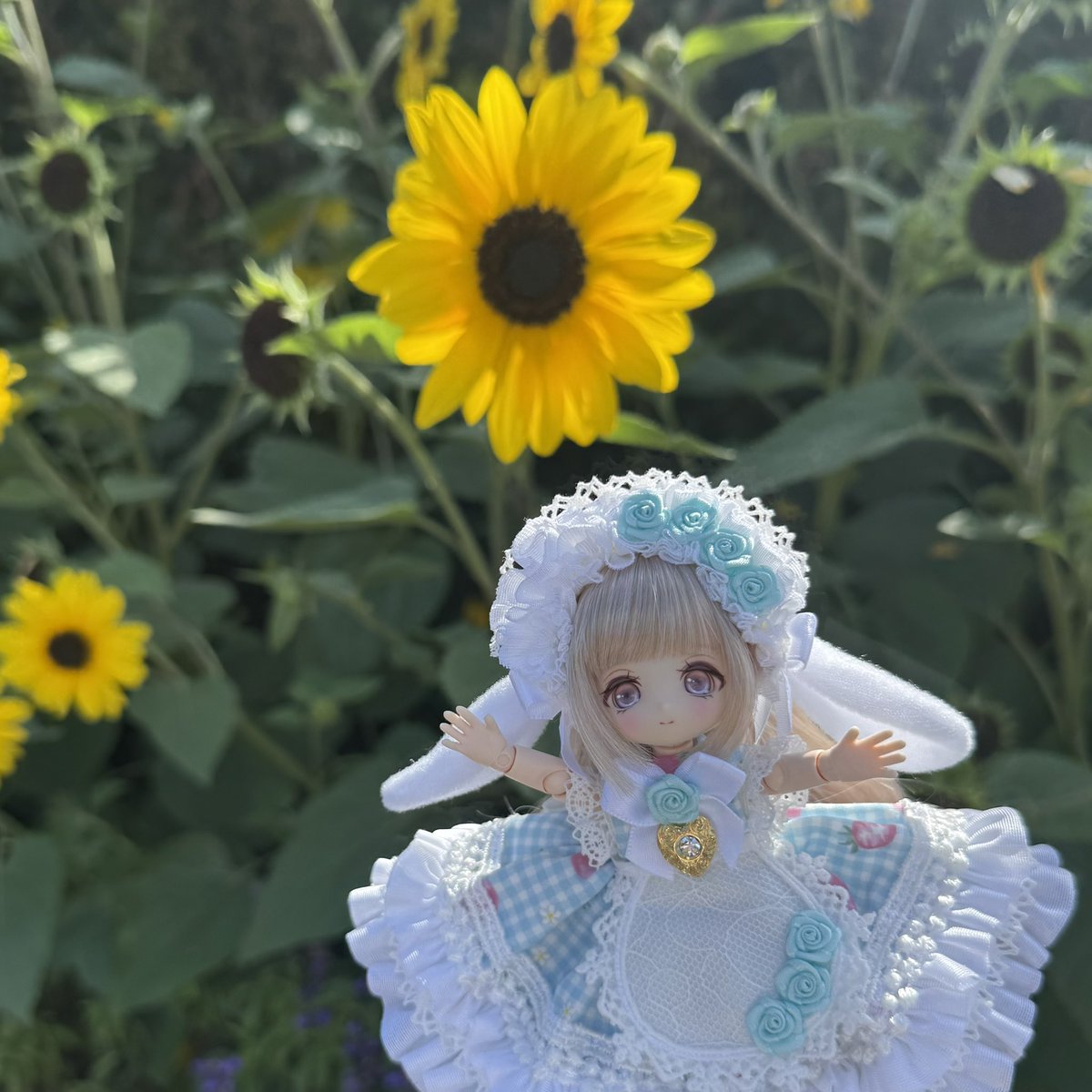 オフシーズンなので控えめな感じに咲いているのが可愛かったです