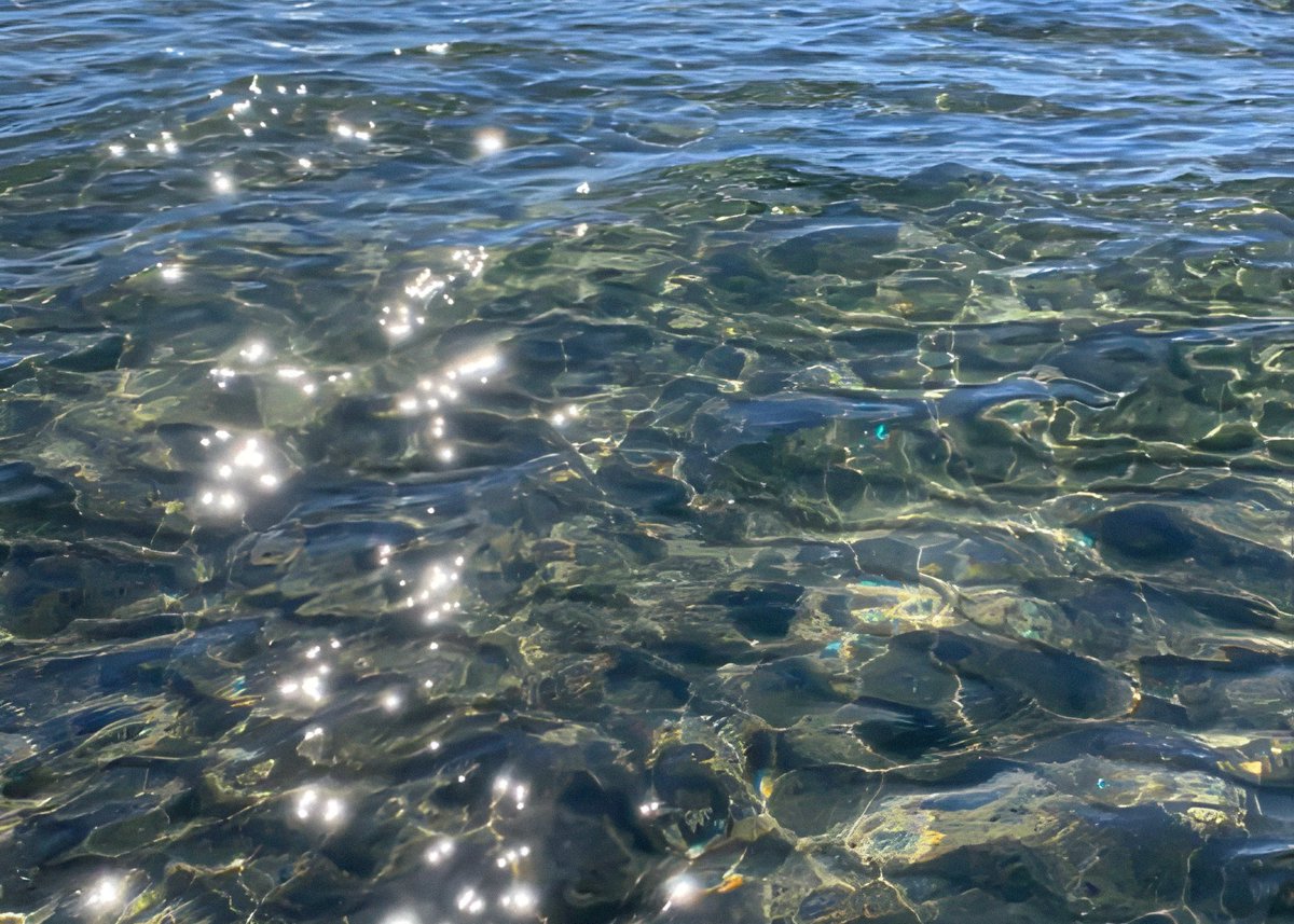 gardenofcolours's tweet photo. light sparkles on water https://t.co/fBriSMUWWV