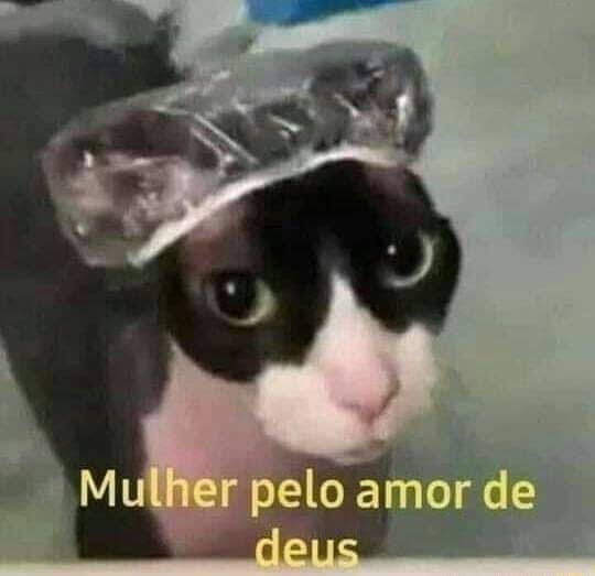 mdudalves's tweet photo. @tudotranqs https://t.co/eFmNnOUJEm