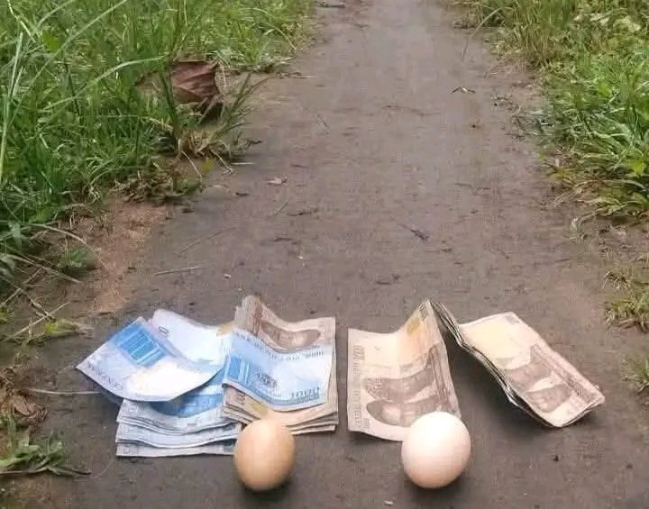 AbrahamXtra's tweet photo. Be honest, will you pick this money 💵 https://t.co/gAaqHxaygd