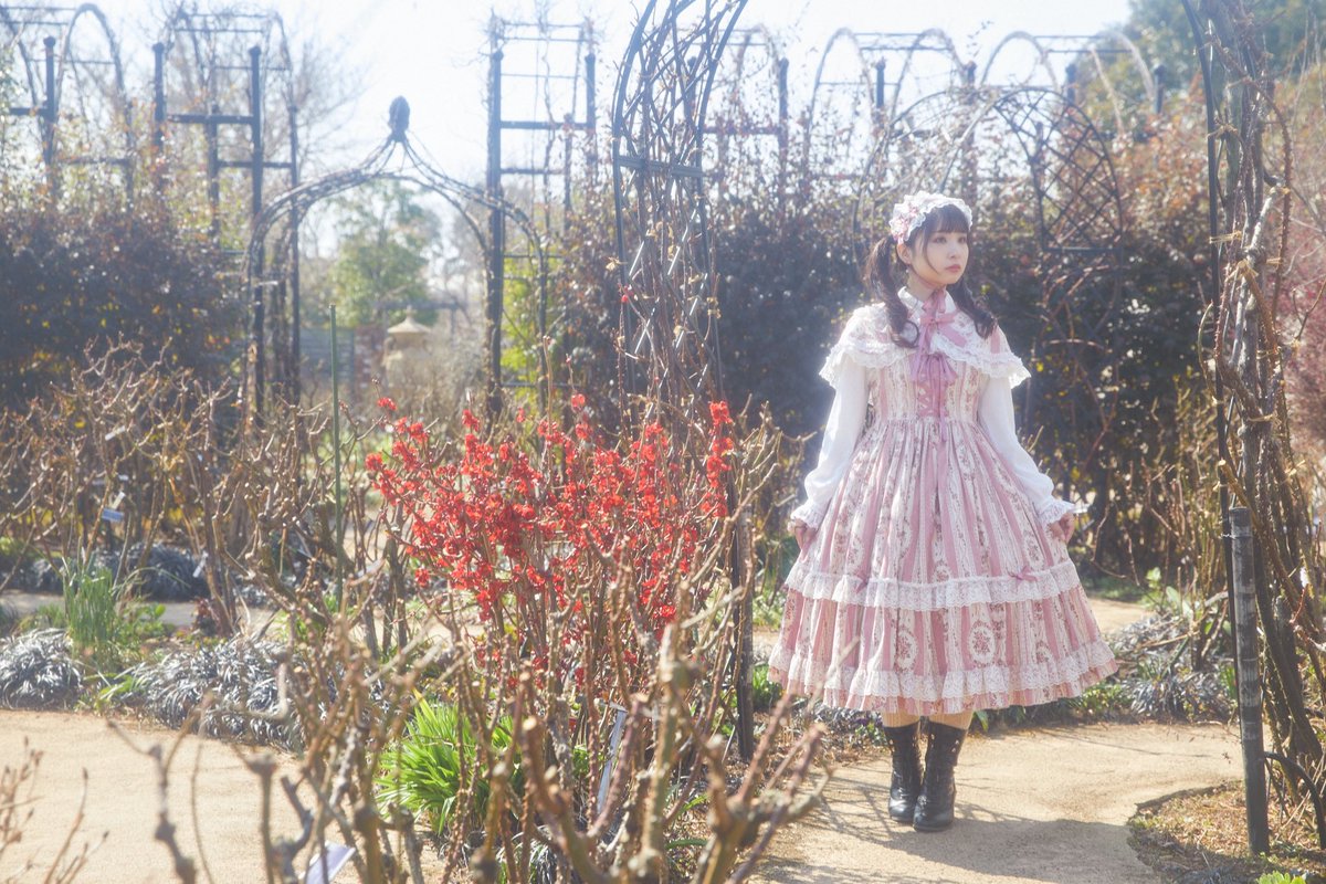 mgmgsb's tweet photo. アンティークブーケが再販すると聞いて。

普段ピンクをあんまり着ることがない私でも幸せな気分いっぱいで着られる、本当に可愛いお洋服だから、気になっている全てのロリィタさんに着て欲しい、写真あげて欲しい。

ちなみに153cmがJSKとケープを合わせるとこうなります。

photo:@moto_takayama https://t.co/ZOmIJ10wHf