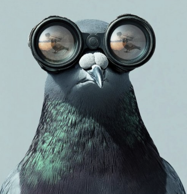 $MOCK tweet media
