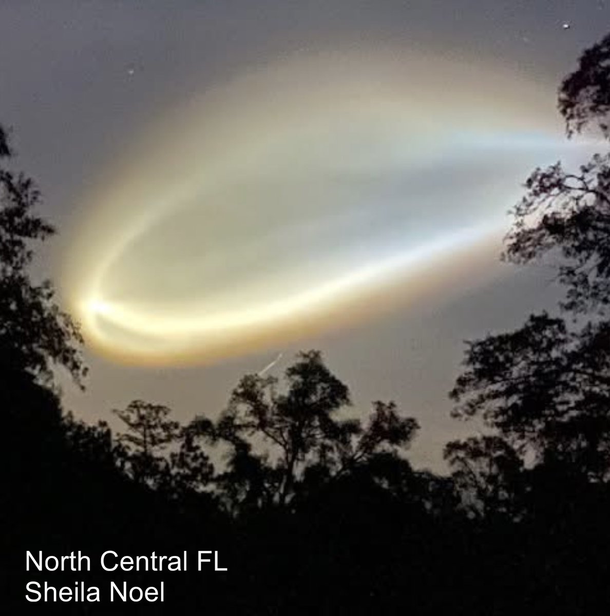 JustinWeather's tweet photo. 🚀 🪼 The Jellyfish Cloud from this morning’s SpaceX Lauch!
🌴 Looks like Florida and the Southeast US got the show.
🙏 📷 Thanks to all that shared these pics.
#jellyfishcloud
#rocketlaunch https://t.co/snZhbnkXdL