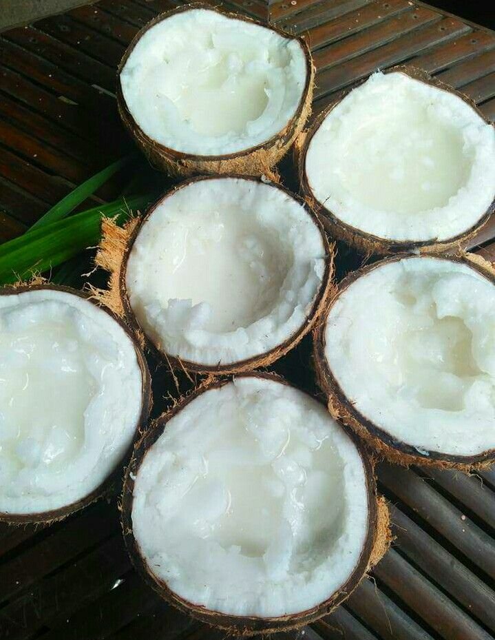 babehxtimeline's tweet photo. kelapa kopyor harga mencapai 3 hingga 10 kali lipat lebih mahal dibandingkan kelapa biasa. Kelapa ini sangat dihargai karena daging buahnya yang lembut. Pernah kalian coba kelapa kopyor.? https://t.co/eUINa3FlGD