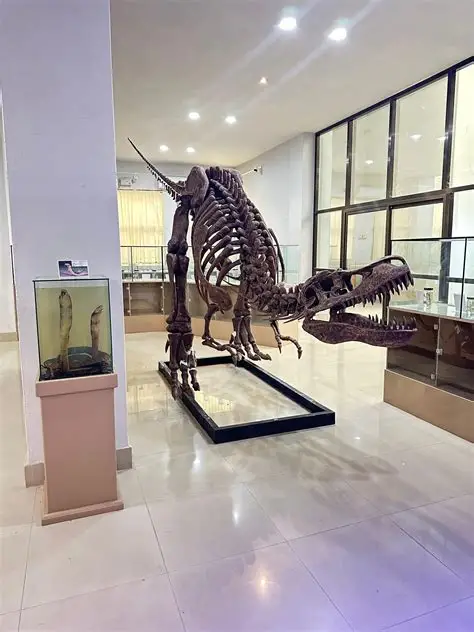 northeast_vibe's tweet photo. #Mizoram University's Natural History Museum designated as India's 21st biodiversity repository under the Biological Diversity Act!
Will serve as regional hub for Eastern Himalayas flora &amp; fauna research and conservation. Big boost for Northeast India's biodiversity efforts! 🌿 https://t.co/ZTOzNCAJSJ