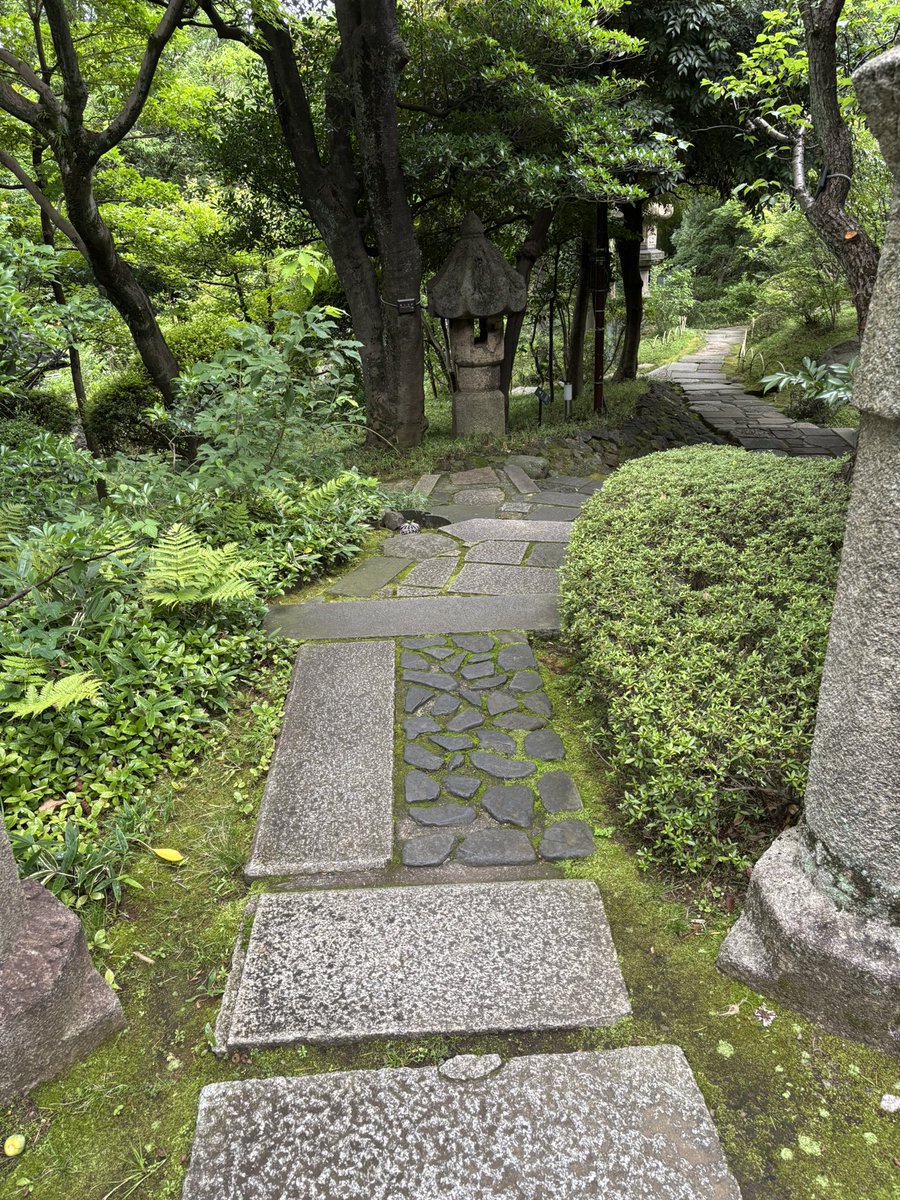 0rangem0riani's tweet photo. ハイブランドが立ち並ぶ都内の一画。自然の中を散策しながら日々のいろんなものを洗い流す。
#根津美術館 https://t.co/wZxrptFIlf