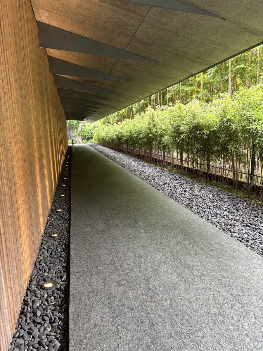 0rangem0riani's tweet photo. ハイブランドが立ち並ぶ都内の一画。自然の中を散策しながら日々のいろんなものを洗い流す。
#根津美術館 https://t.co/wZxrptFIlf