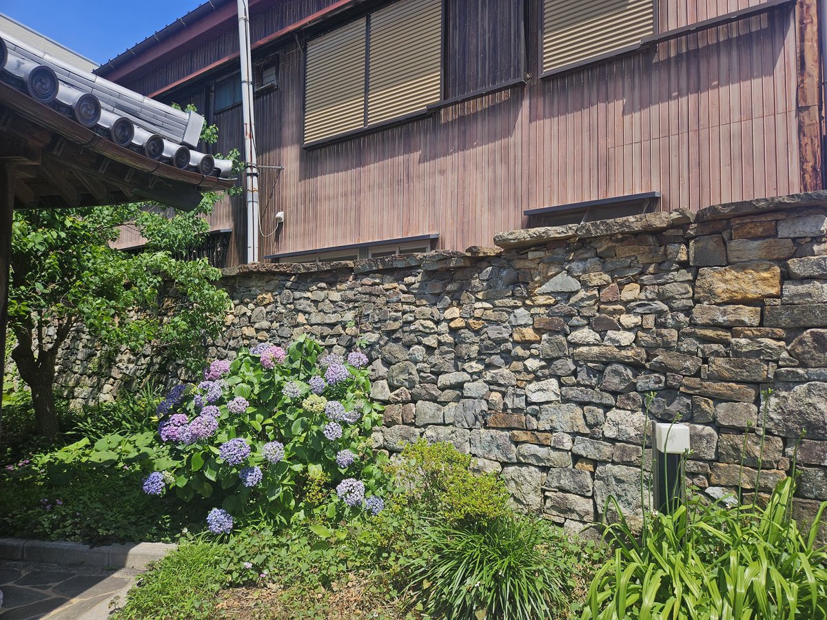 labendeo8's tweet photo. 🌿🏡 오래된 돌담과 아름답게 피어난 수국이 어우러져 한 폭의 그림 같은 풍경입니다.
시간의 흔적이 담긴 돌담은 따뜻한 이야기를 전해주고, 싱그러운 수국은 여름의 아름다움을 한층 더 빛나게 해주네요.
#수국 #돌담길 #여름풍경 #감성사진 #힐링여행 #자연의아름다움 #일상의여유 https://t.co/zLJqcWBQaI