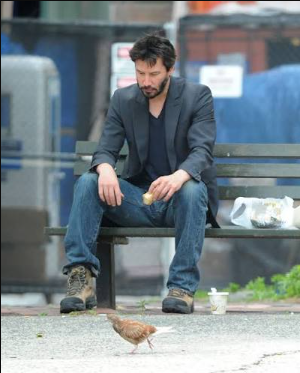 Anastati0n's tweet photo. @WhereWindsMeet_ me waiting for the option to turn off all skill effects in combat https://t.co/hxr6LH8Vd8