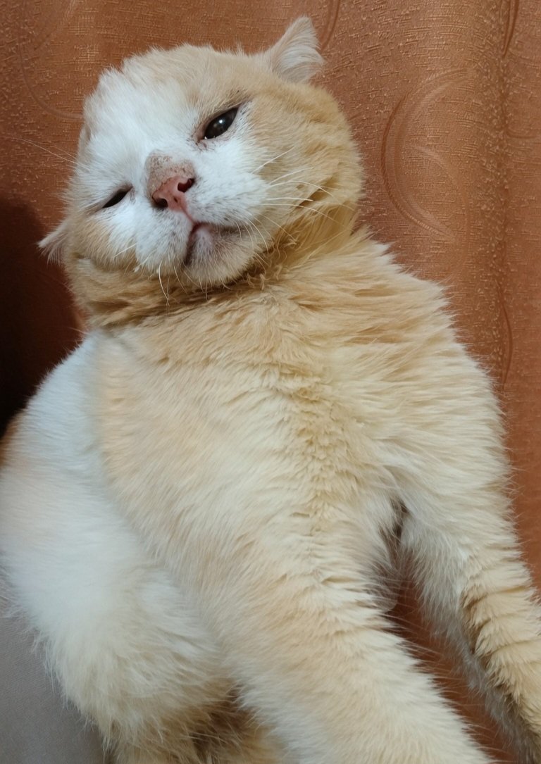 __chimichi's tweet photo. aloo guiss bisa tolong bantu larisin atau rt daganganku. untuk saat ini, toko mungiel ini jdi satu-satunya pendapatan aku. tulung bantu ya guiss, soalnya ucok masih harus terapi saraf, obat-obatannya juga pada naik. jyujyur pening😵‍💫 
https://t.co/JGwtyaRY8M https://t.co/fuFKlqIBBR