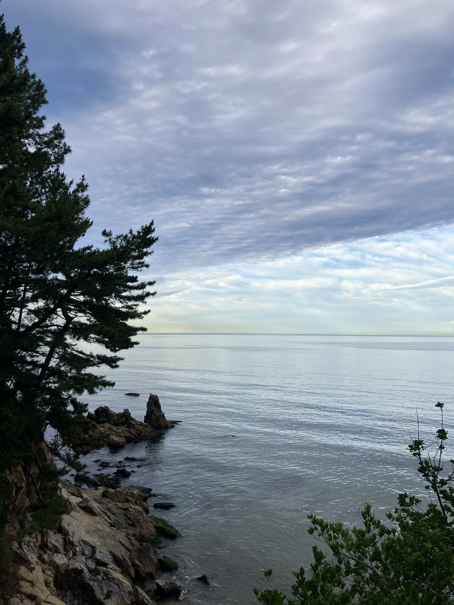 Do4yum's tweet photo. 🌊 https://t.co/nN4o445wgd