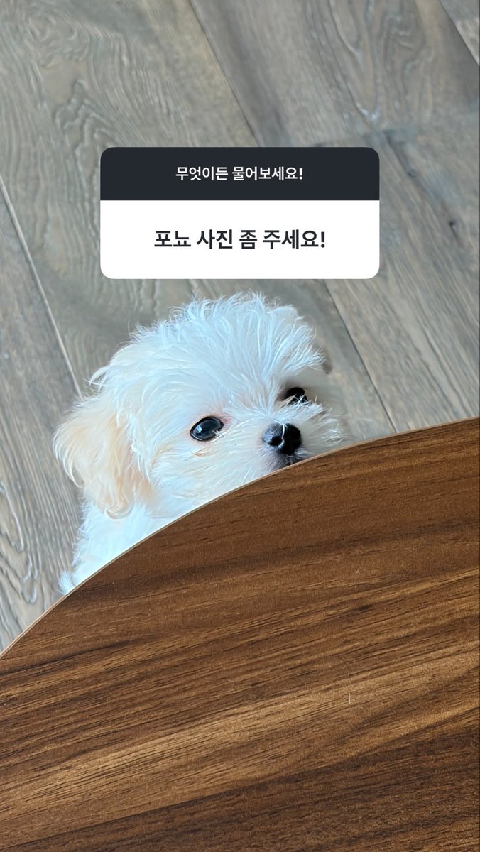 nano_winter's tweet photo. 260709 imwinter #윈터 인스타 스토리 무물 업데이트 https://t.co/4NUyQTu5SX