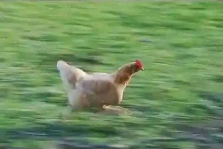 _mister_evans's tweet photo. Ukitoka shule babyclass alafu uone gari iko na vioo za black 💔😂 https://t.co/oxwX5dxflF
