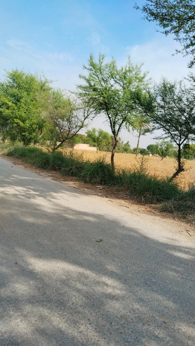 AvnieSharma's tweet photo. Hi everyone https://t.co/VAnkkJ3XUr
