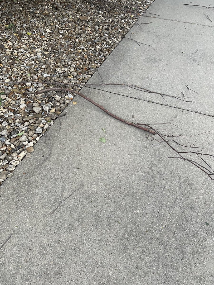Hendo_k_'s tweet photo. @NWSKansasCity I found this stick in the ground. Otherwise wouldn’t have known anything happened.. https://t.co/bDnU3rjce5