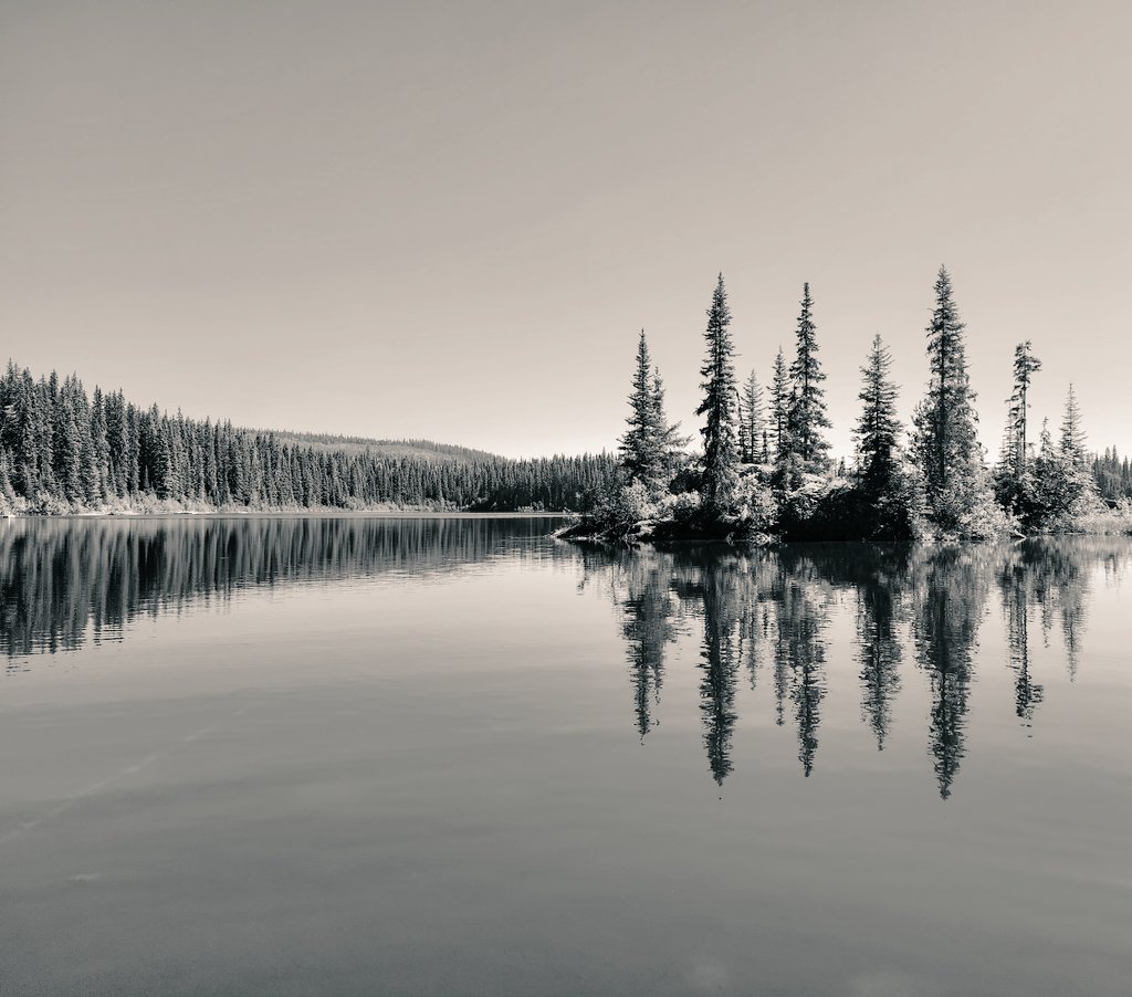 Dave37530840210's tweet photo. in stillness, i sit. https://t.co/pqNbXnTB5J